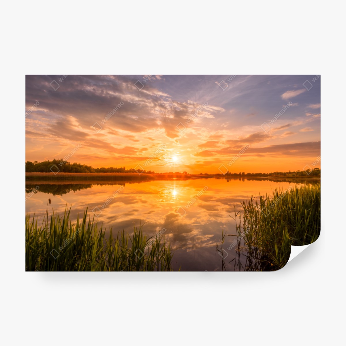 Fototapeta złoty zachód słońca nad spokojnym jeziorem – Wallissimo® Fototapeta złoty zachód słońca nad spokojnym jeziorem – Wallissimo®