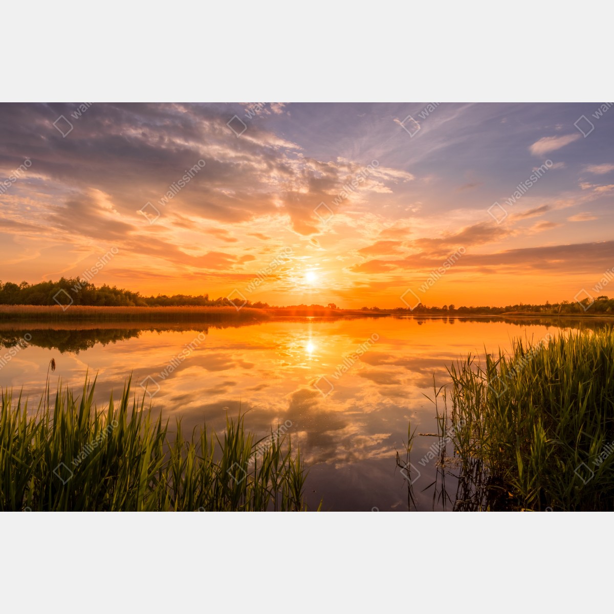Fototapeta złoty zachód słońca nad spokojnym jeziorem – Wallissimo® Fototapeta złoty zachód słońca nad spokojnym jeziorem – Wallissimo®