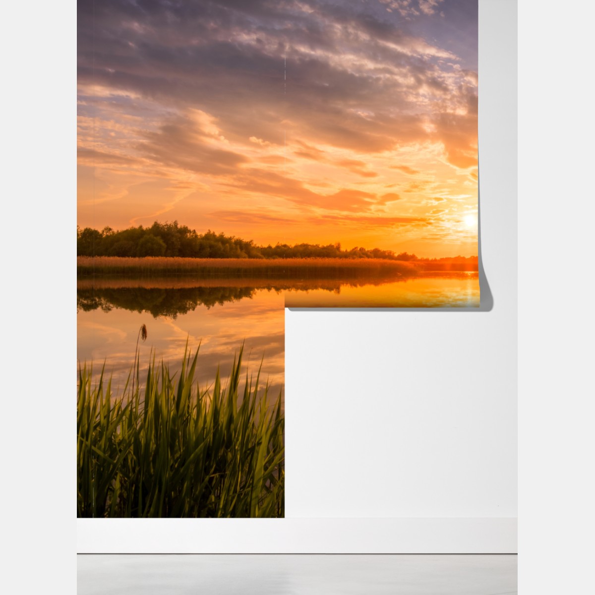 Fototapeta złoty zachód słońca nad spokojnym jeziorem – Wallissimo® Fototapeta złoty zachód słońca nad spokojnym jeziorem – Wallissimo®