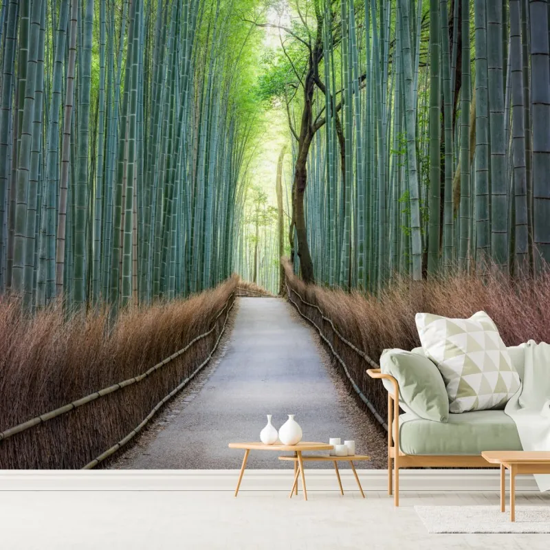 Fototapeta spokojna ścieżka w lesie bambusowym