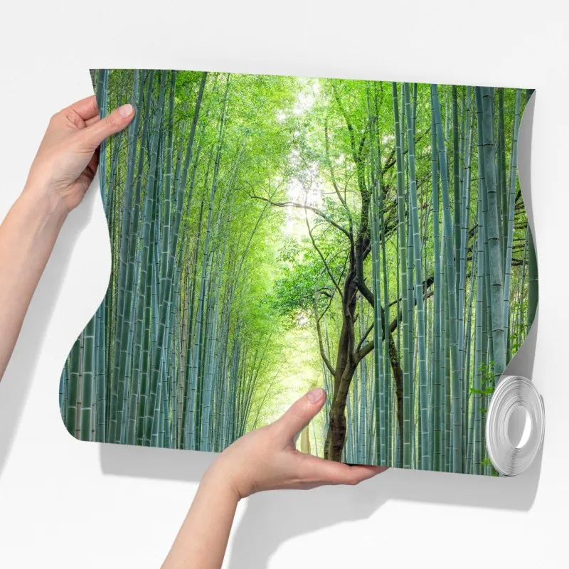 Fototapeta spokojna ścieżka w lesie bambusowym – Wallissimo® Fototapeta spokojna ścieżka w lesie bambusowym – Wallissimo®