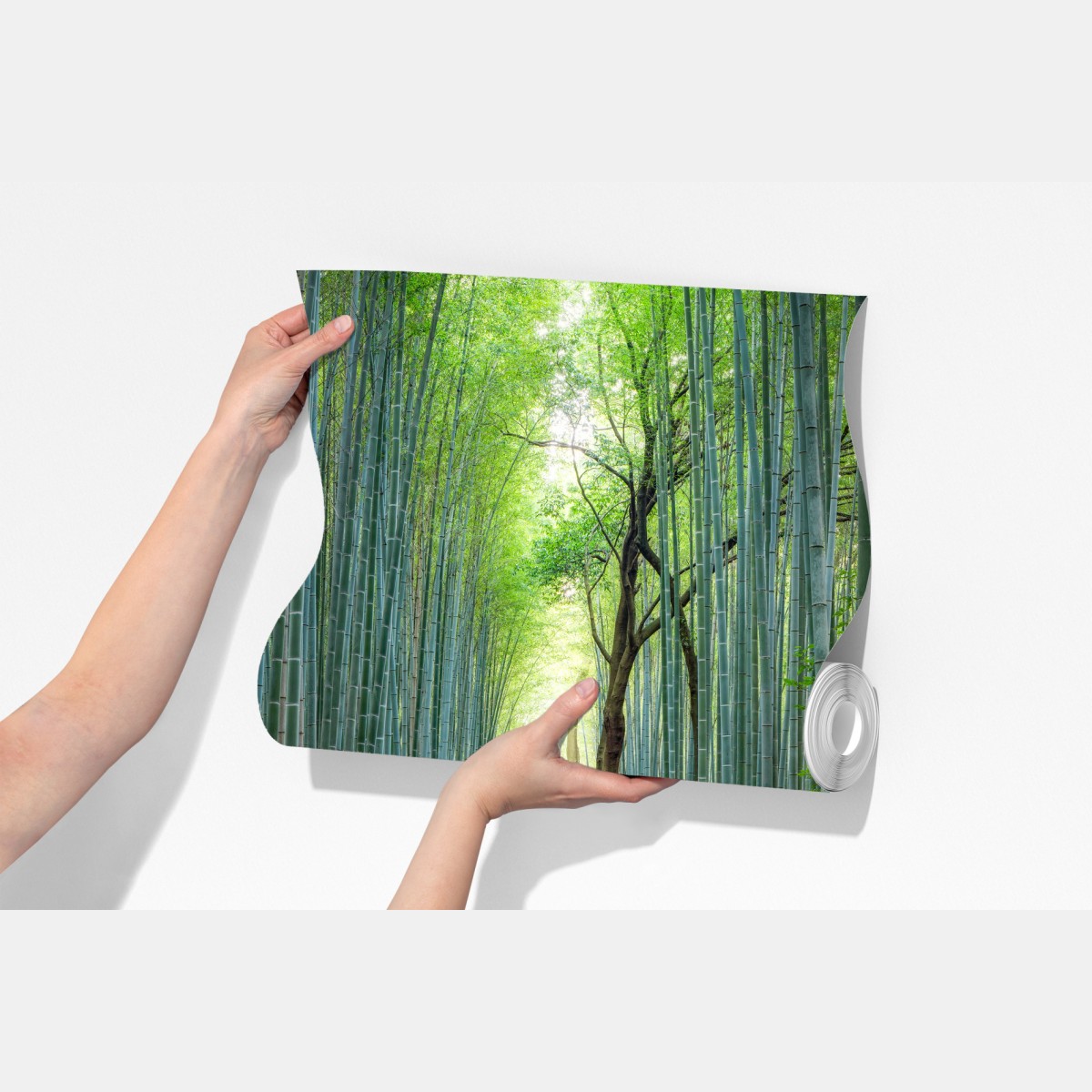 Fototapeta spokojna ścieżka w lesie bambusowym – Wallissimo® Fototapeta spokojna ścieżka w lesie bambusowym – Wallissimo®