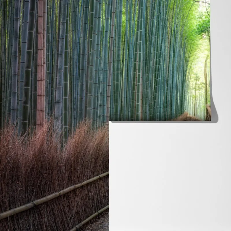 Fototapeta spokojna ścieżka w lesie bambusowym – Wallissimo® Fototapeta spokojna ścieżka w lesie bambusowym – Wallissimo®