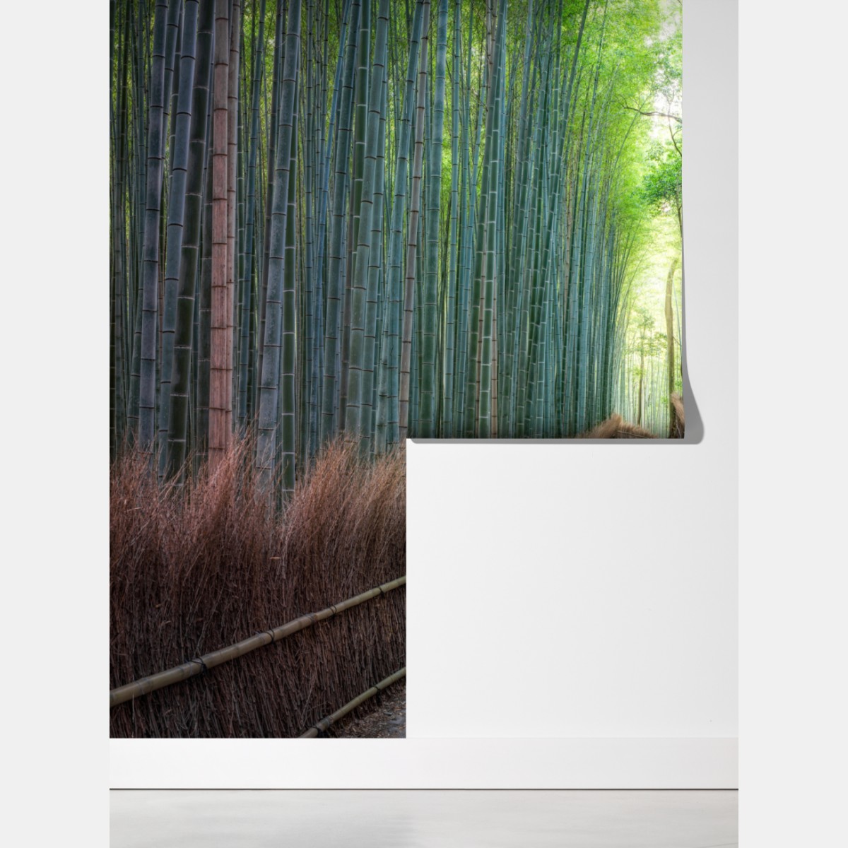 Fototapeta spokojna ścieżka w lesie bambusowym – Wallissimo® Fototapeta spokojna ścieżka w lesie bambusowym – Wallissimo®