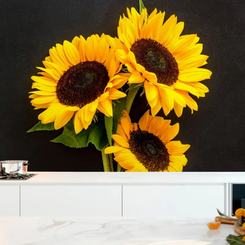 Fototapeta słoneczniki na czarnym tle