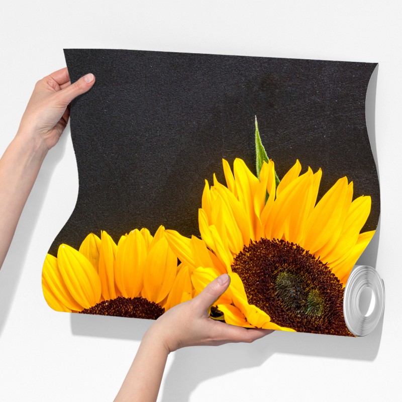 Fototapeta słoneczniki na czarnym tle – Wallissimo® Fototapeta słoneczniki na czarnym tle – Wallissimo®