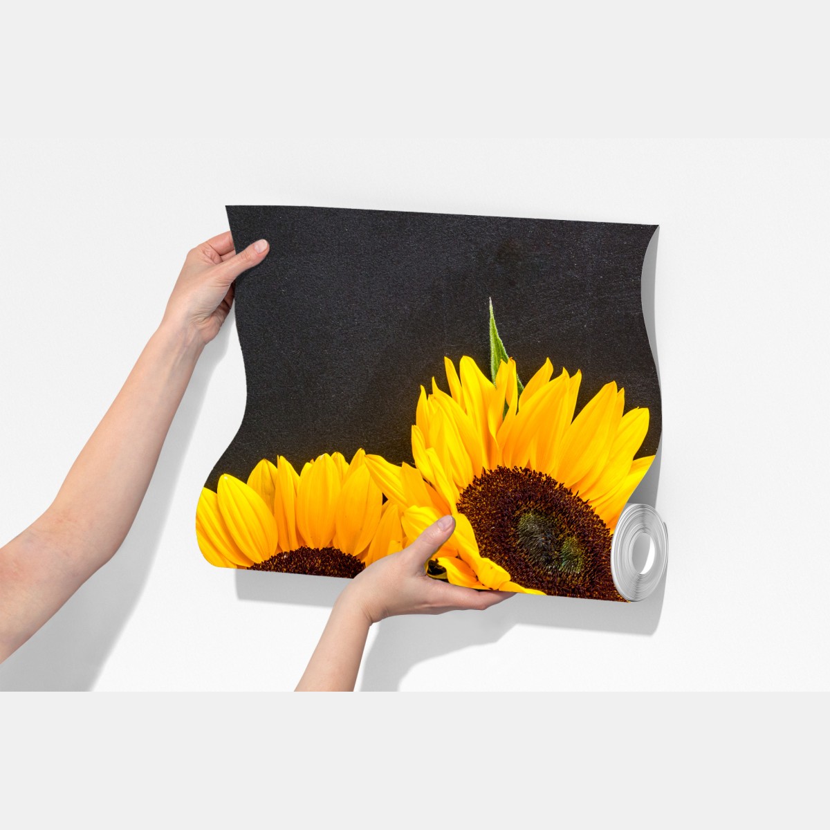 Fototapeta słoneczniki na czarnym tle – Wallissimo® Fototapeta słoneczniki na czarnym tle – Wallissimo®