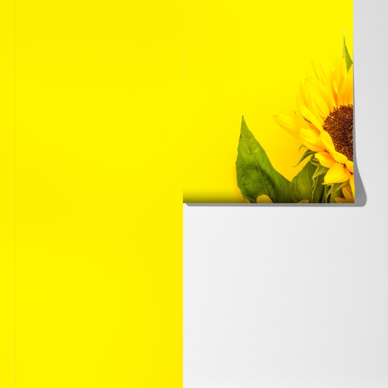 Fototapeta jasny bukiet słoneczników na żółtym tle – Wallissimo® Fototapeta jasny bukiet słoneczników na żółtym tle – Wallissimo®