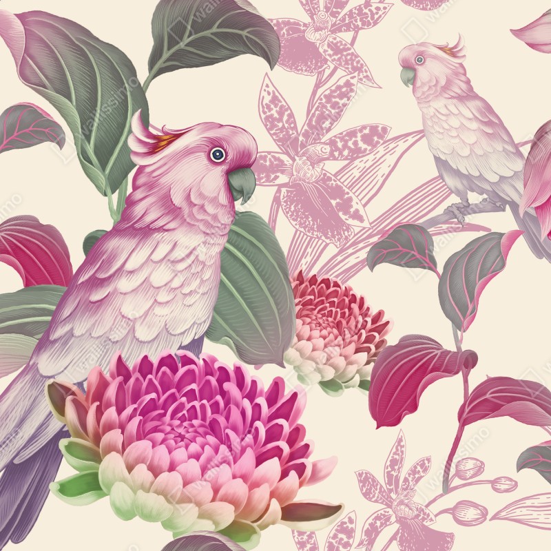 Fototapeta różowa papuga i chryzantema - botaniczny motyw – Wallissimo® Fototapeta różowa papuga i chryzantema - botaniczny motyw – Wallissimo®