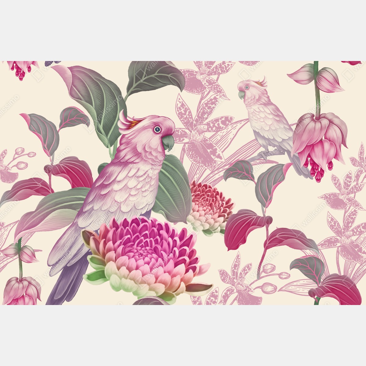 Fototapeta różowa papuga i chryzantema - botaniczny motyw – Wallissimo® Fototapeta różowa papuga i chryzantema - botaniczny motyw – Wallissimo®