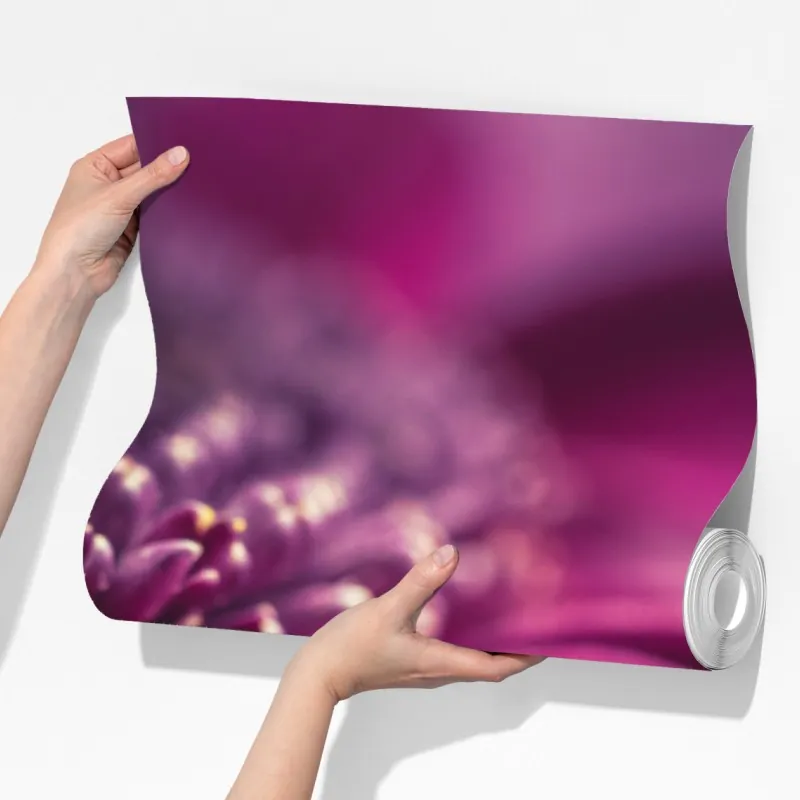 Fototapeta fioletowy makro kwiat z kroplą rosy – Wallissimo® Fototapeta fioletowy makro kwiat z kroplą rosy – Wallissimo®