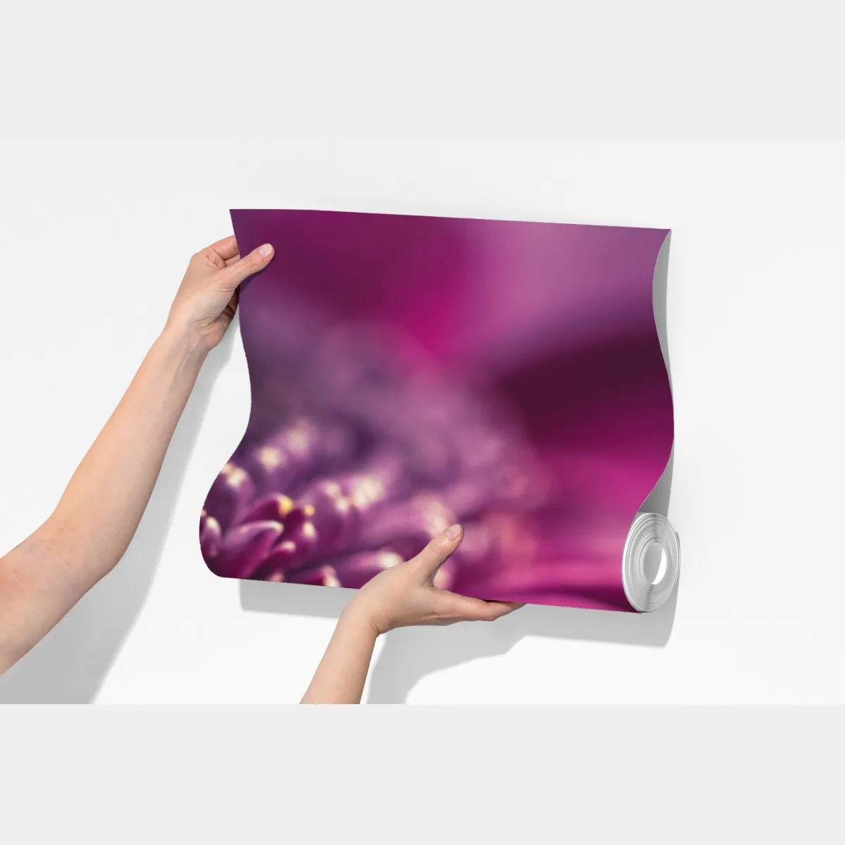 Fototapeta fioletowy makro kwiat z kroplą rosy – Wallissimo® Fototapeta fioletowy makro kwiat z kroplą rosy – Wallissimo®