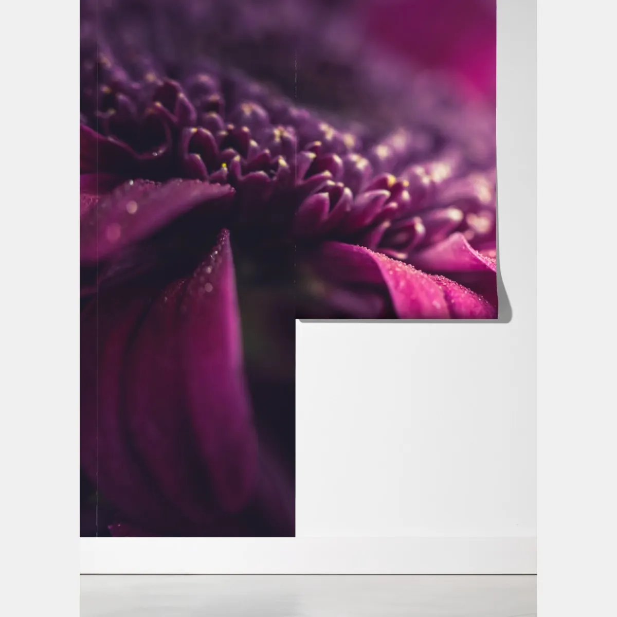 Fototapeta fioletowy makro kwiat z kroplą rosy – Wallissimo® Fototapeta fioletowy makro kwiat z kroplą rosy – Wallissimo®