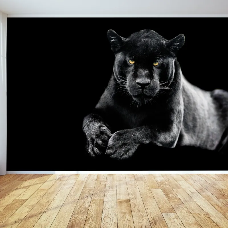 Fototapeta portret czarnej pantery na czarnym tle