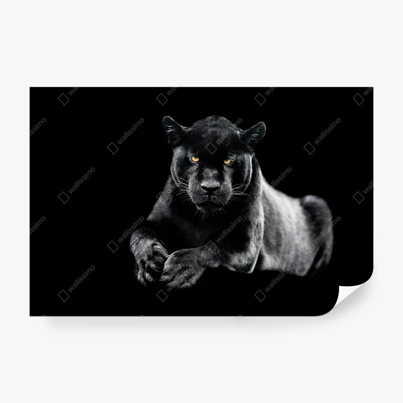 Fototapeta panorama Lac Blanc i Mont Blanc – Wallissimo®