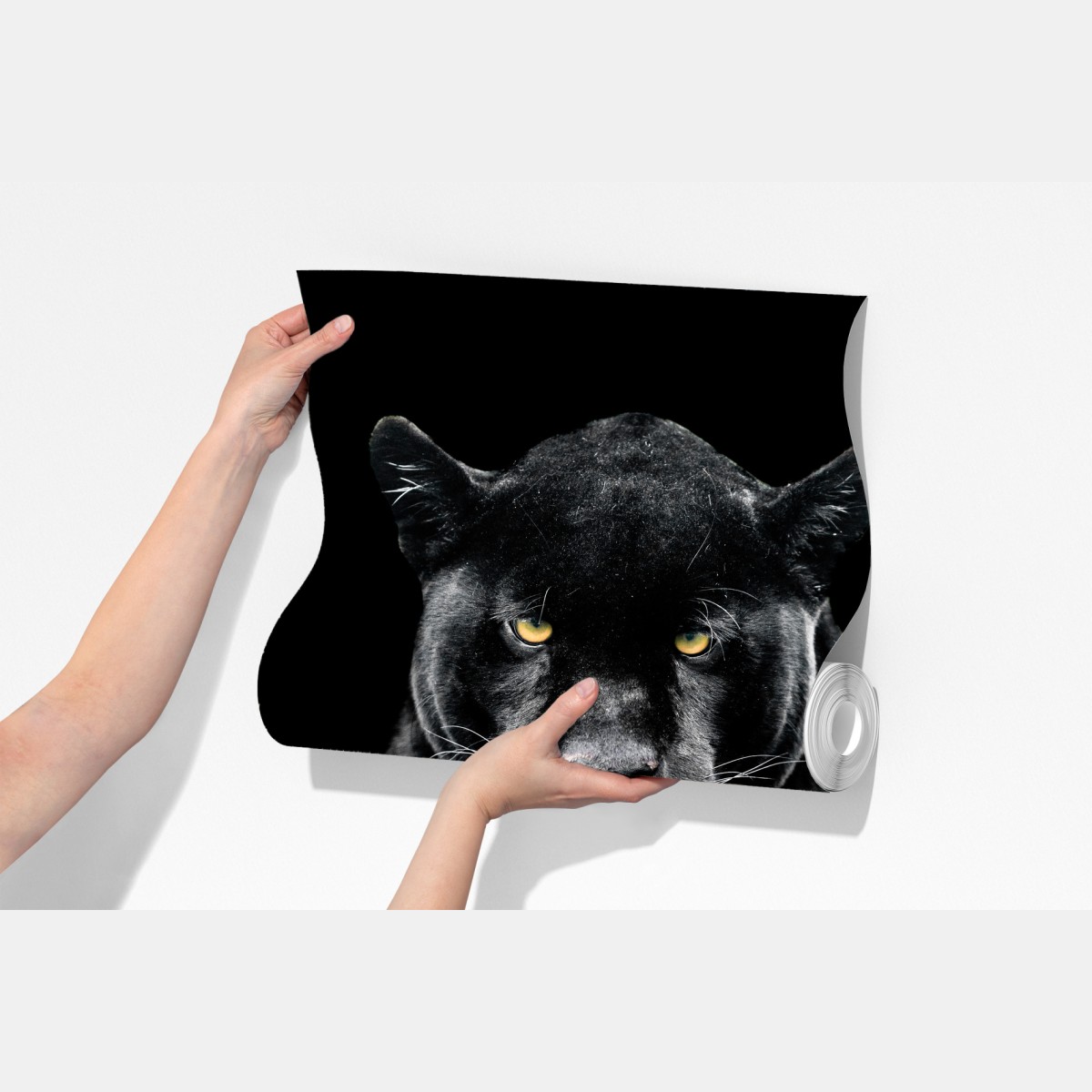 Fototapeta portret czarnej pantery na czarnym tle – Wallissimo® Fototapeta portret czarnej pantery na czarnym tle – Wallissimo®