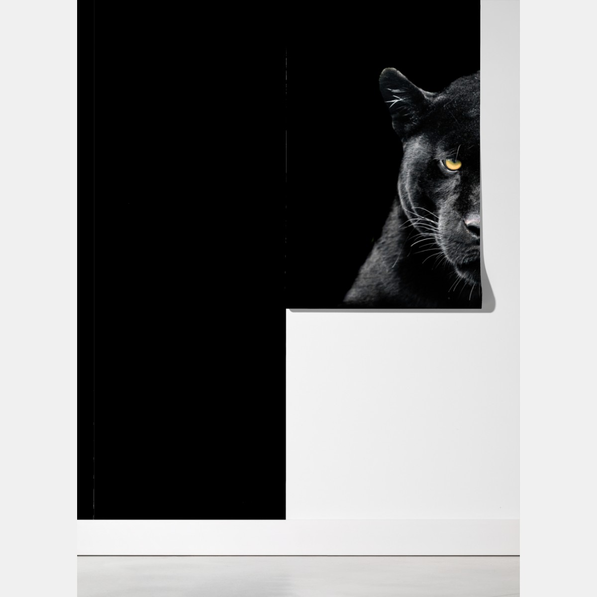 Fototapeta portret czarnej pantery na czarnym tle – Wallissimo® Fototapeta portret czarnej pantery na czarnym tle – Wallissimo®