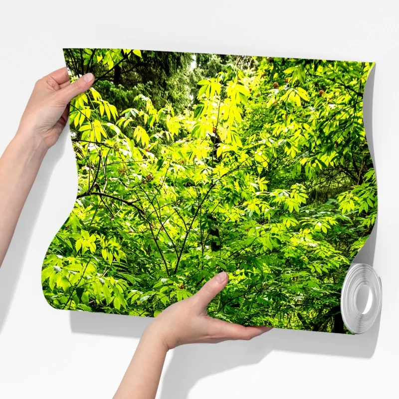 Fototapeta bujna leśna ścieżka – Wallissimo® Fototapeta bujna leśna ścieżka – Wallissimo®