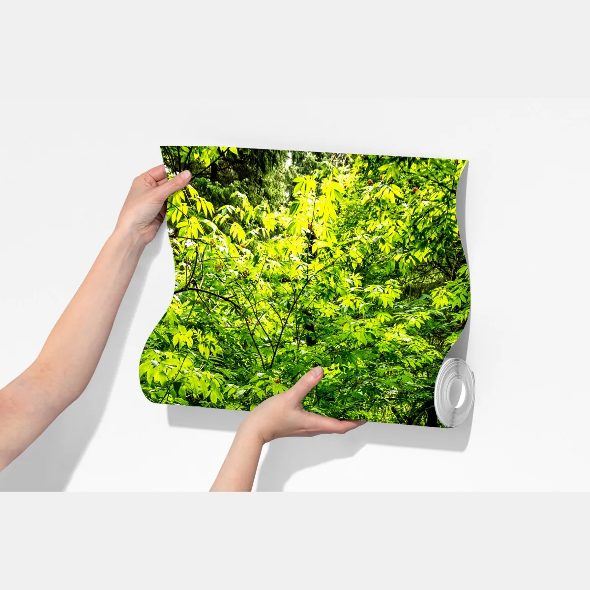 Fototapeta bujna leśna ścieżka – Wallissimo® Fototapeta bujna leśna ścieżka – Wallissimo®