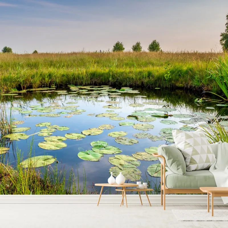 Fototapeta spokojny staw z grążelami na łące – Wallissimo® Fototapeta spokojny staw z grążelami na łące – Wallissimo®