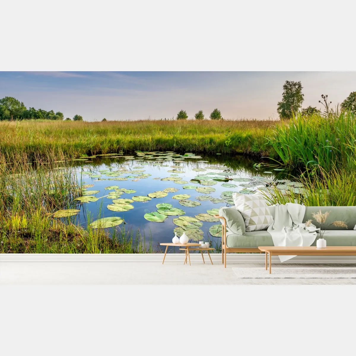 Fototapeta spokojny staw z grążelami na łące – Wallissimo® Fototapeta spokojny staw z grążelami na łące – Wallissimo®