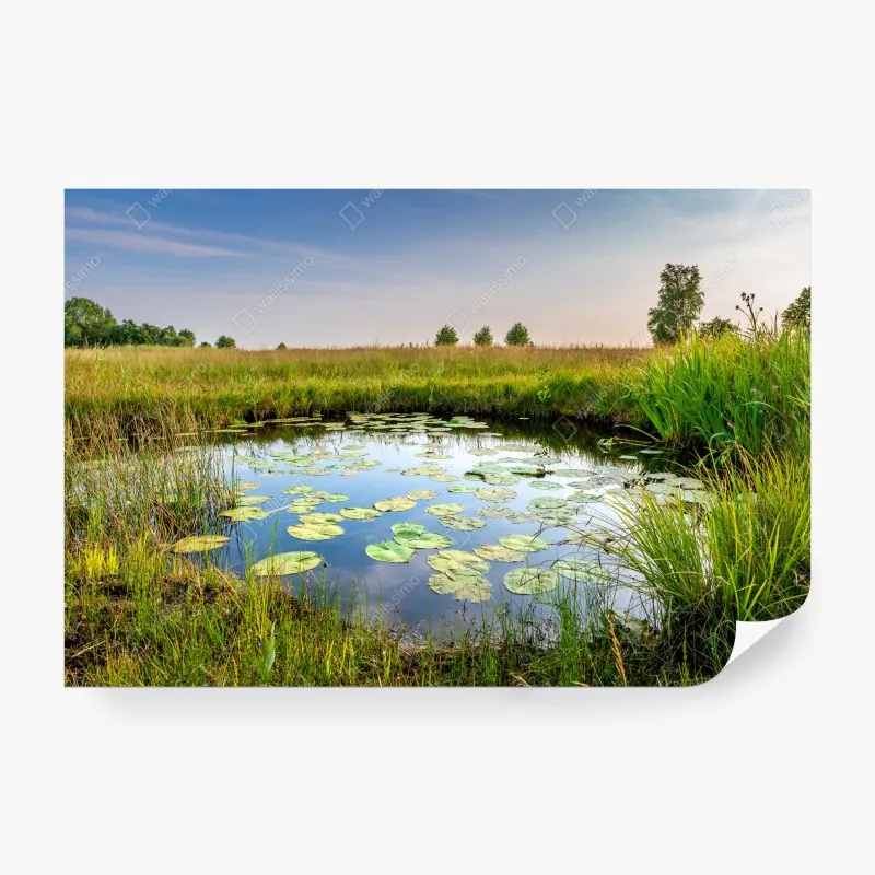 Fototapeta mechowy strumień w lesie – Wallissimo®