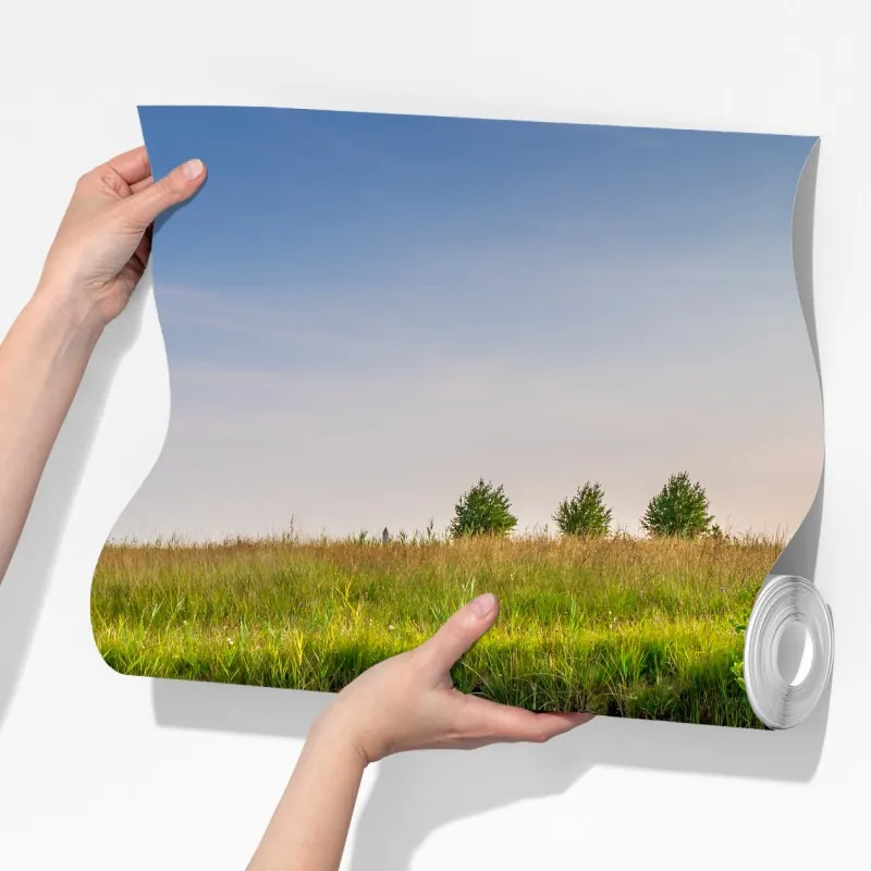 Fototapeta spokojny staw z grążelami na łące – Wallissimo® Fototapeta spokojny staw z grążelami na łące – Wallissimo®