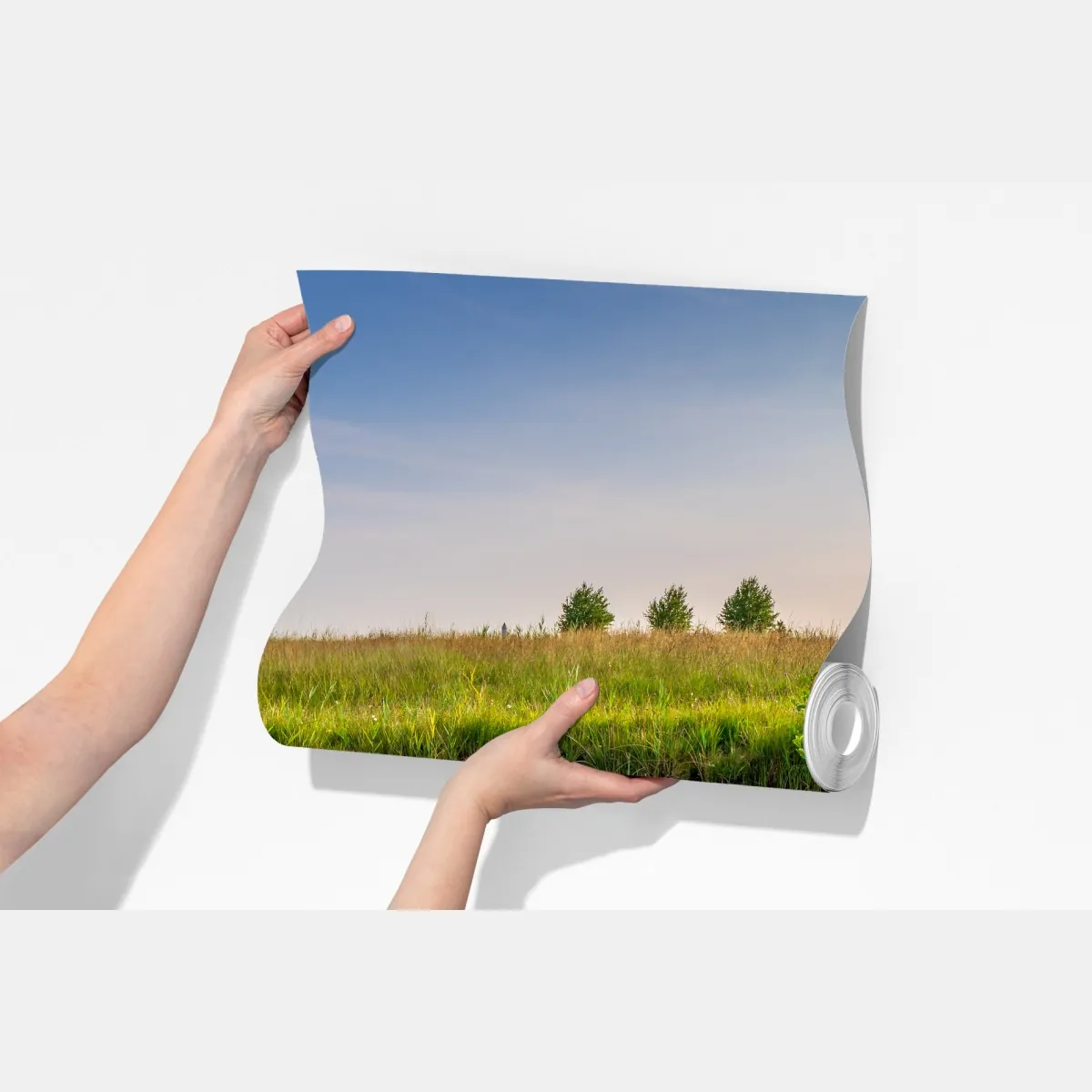 Fototapeta spokojny staw z grążelami na łące – Wallissimo® Fototapeta spokojny staw z grążelami na łące – Wallissimo®