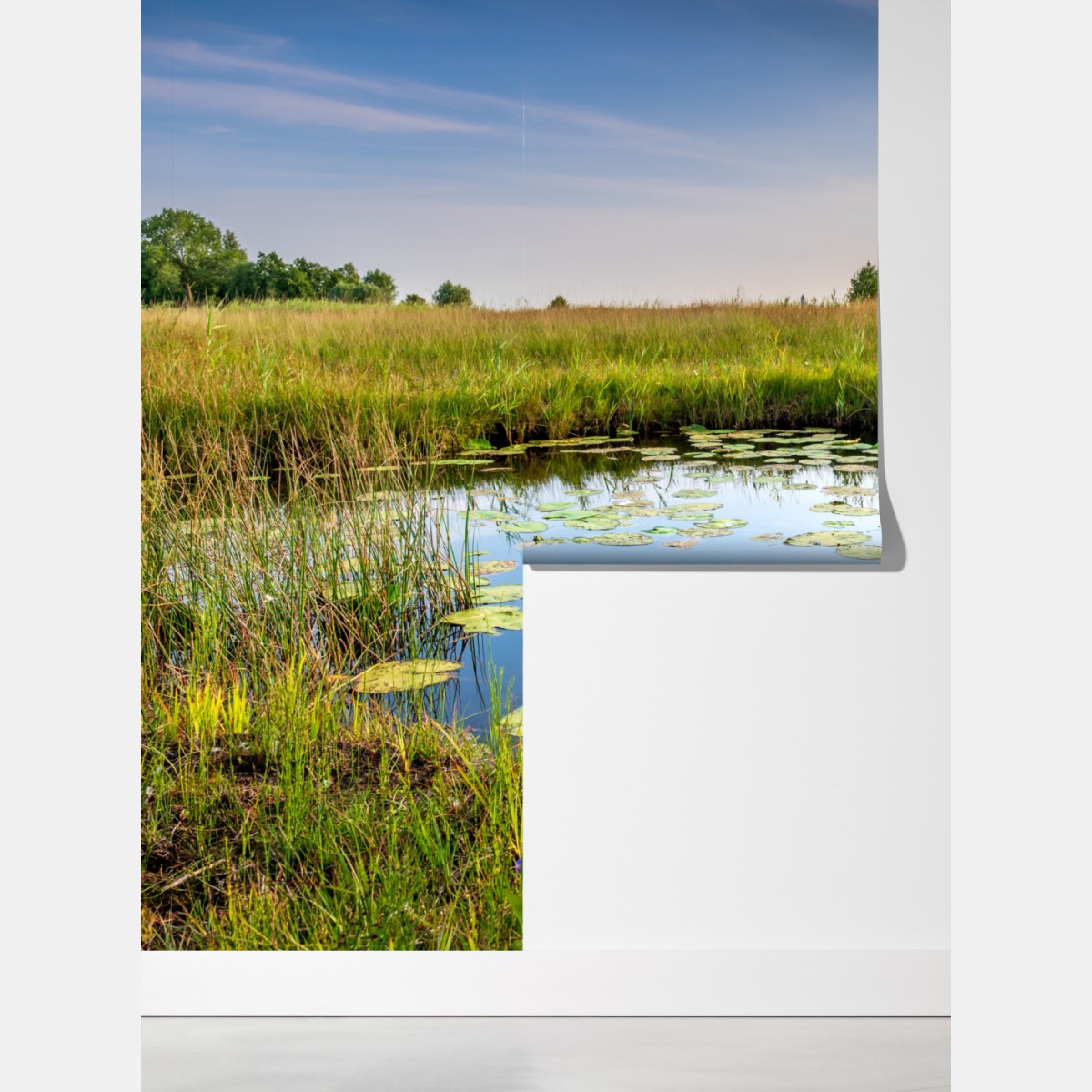 Fototapeta spokojny staw z grążelami na łące – Wallissimo® Fototapeta spokojny staw z grążelami na łące – Wallissimo®
