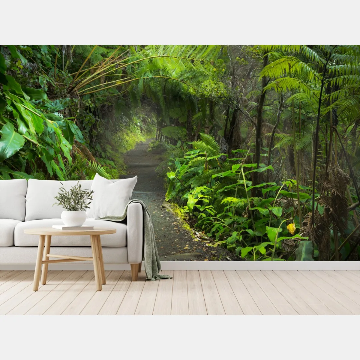 Fototapeta bujny las deszczowy na szlaku Kilauea Iki, Hawaje – Wallissimo® Fototapeta bujny las deszczowy na szlaku Kilauea Iki, Hawaje – Wallissimo®