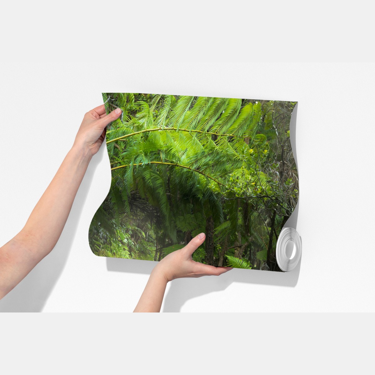 Fototapeta bujny las deszczowy na szlaku Kilauea Iki, Hawaje – Wallissimo® Fototapeta bujny las deszczowy na szlaku Kilauea Iki, Hawaje – Wallissimo®