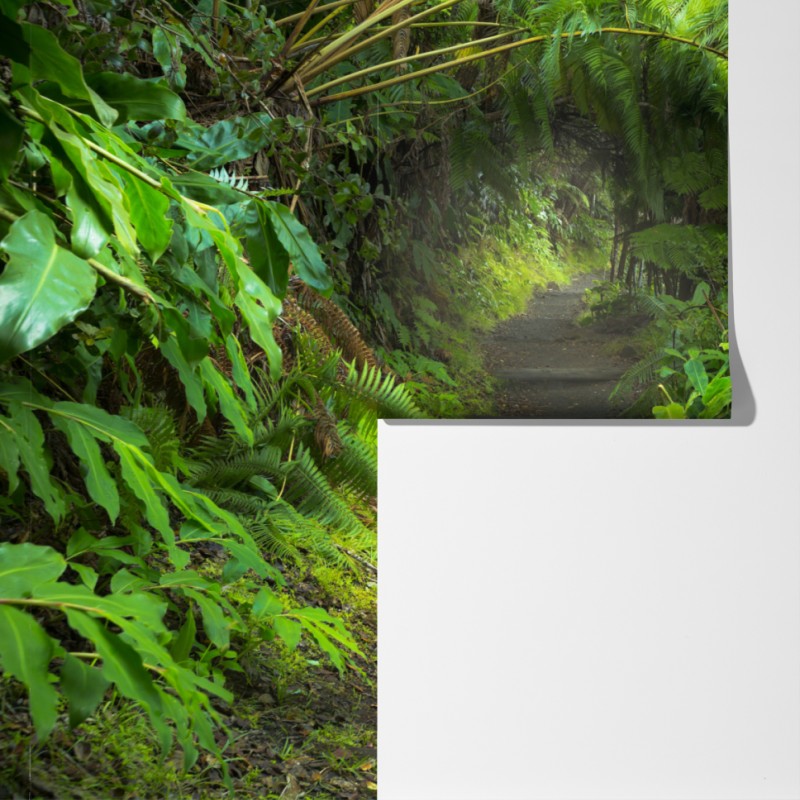 Fototapeta bujny las deszczowy na szlaku Kilauea Iki, Hawaje – Wallissimo® Fototapeta bujny las deszczowy na szlaku Kilauea Iki, Hawaje – Wallissimo®