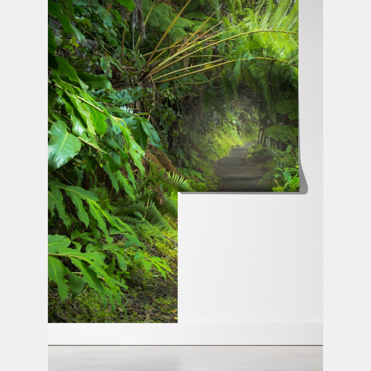 Fototapeta bujny las deszczowy na szlaku Kilauea Iki, Hawaje – Wallissimo® Fototapeta bujny las deszczowy na szlaku Kilauea Iki, Hawaje – Wallissimo®