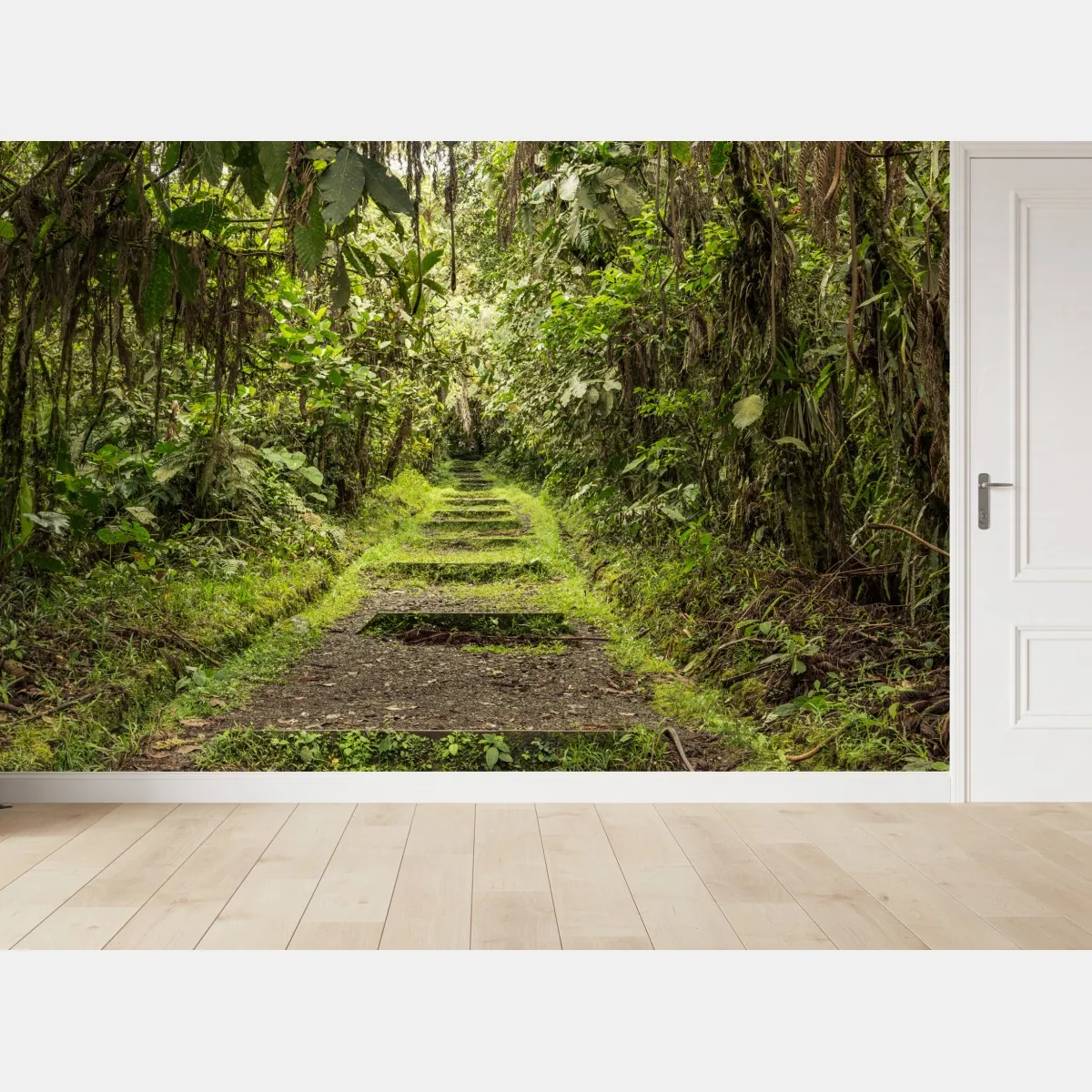 Fototapeta ścieżka przez bujną dżunglę – Wallissimo® Fototapeta ścieżka przez bujną dżunglę – Wallissimo®