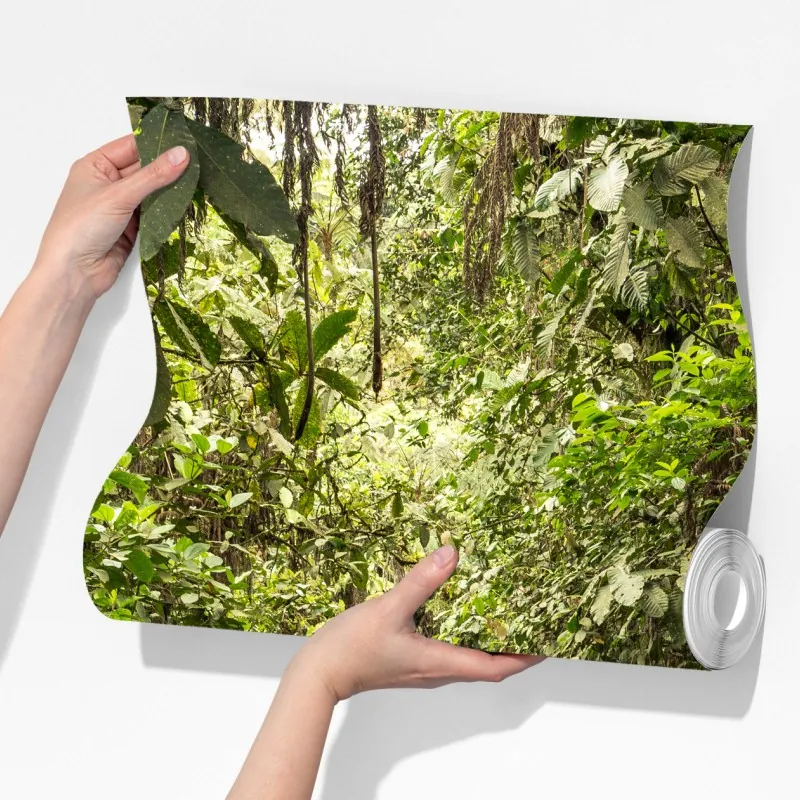 Fototapeta ścieżka przez bujną dżunglę – Wallissimo® Fototapeta ścieżka przez bujną dżunglę – Wallissimo®