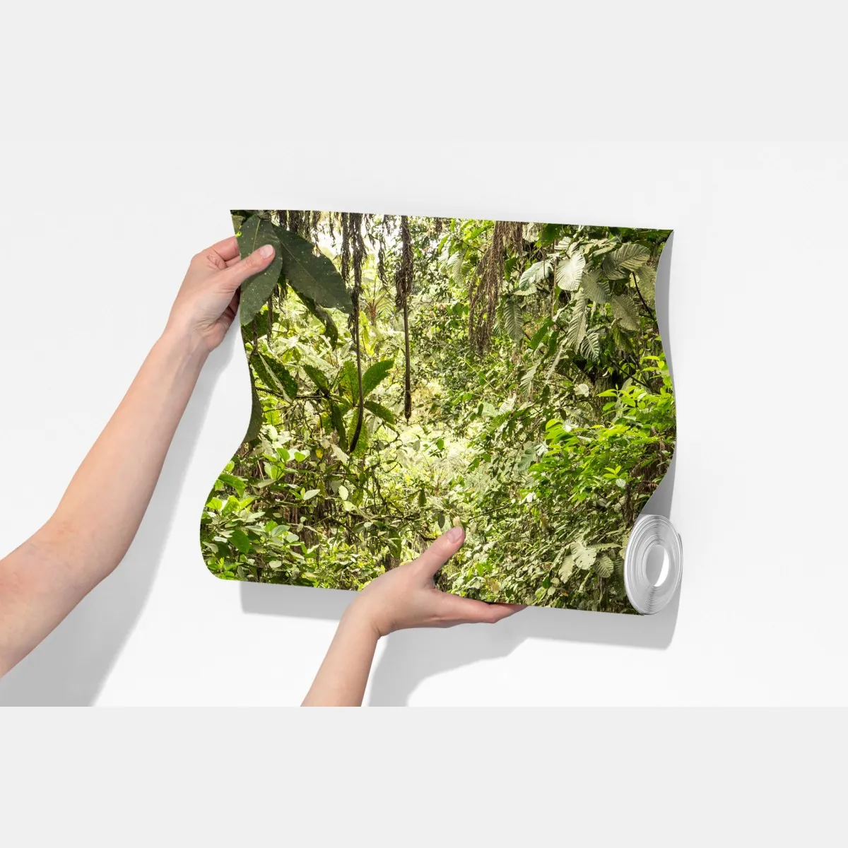 Fototapeta ścieżka przez bujną dżunglę – Wallissimo® Fototapeta ścieżka przez bujną dżunglę – Wallissimo®