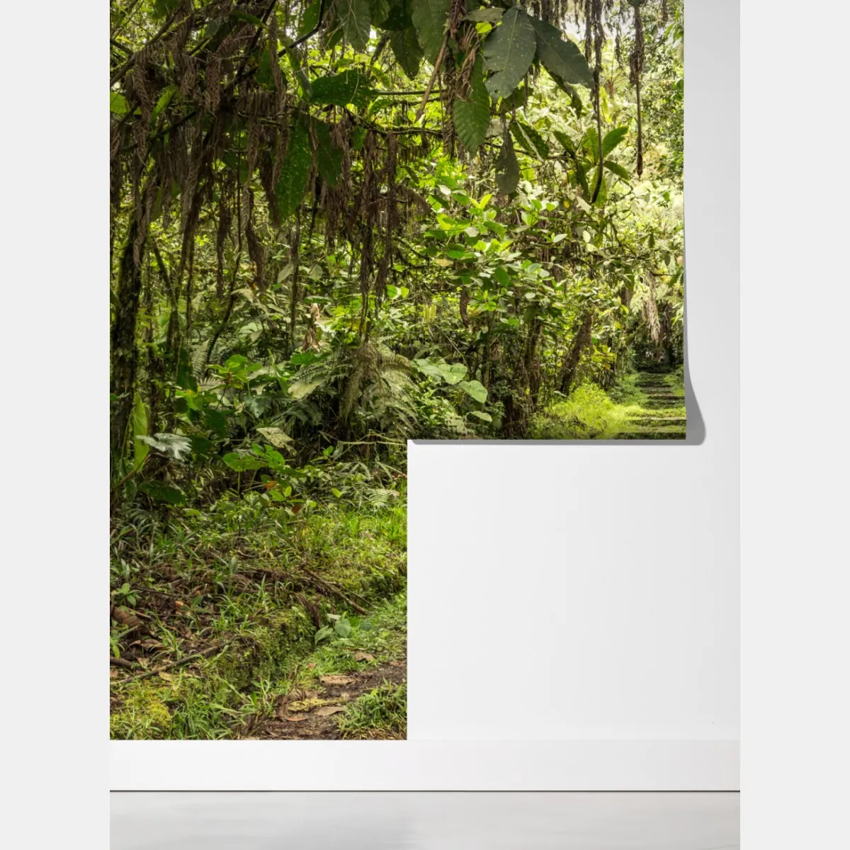 Fototapeta ścieżka przez bujną dżunglę – Wallissimo® Fototapeta ścieżka przez bujną dżunglę – Wallissimo®