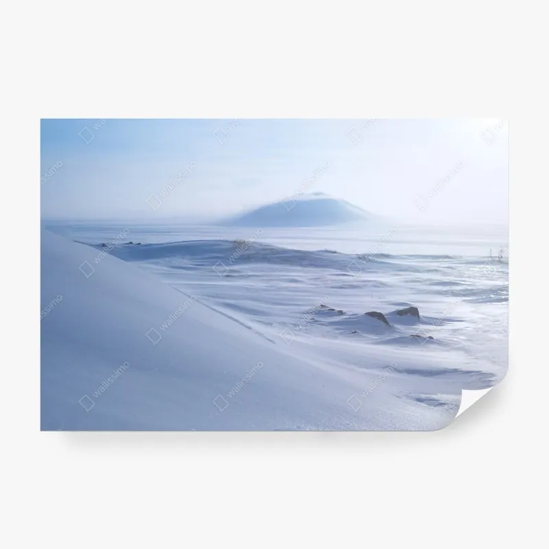 Fototapeta botaniczny wzór z kwiatami cytrusów na granatowym tle – Wallissimo®