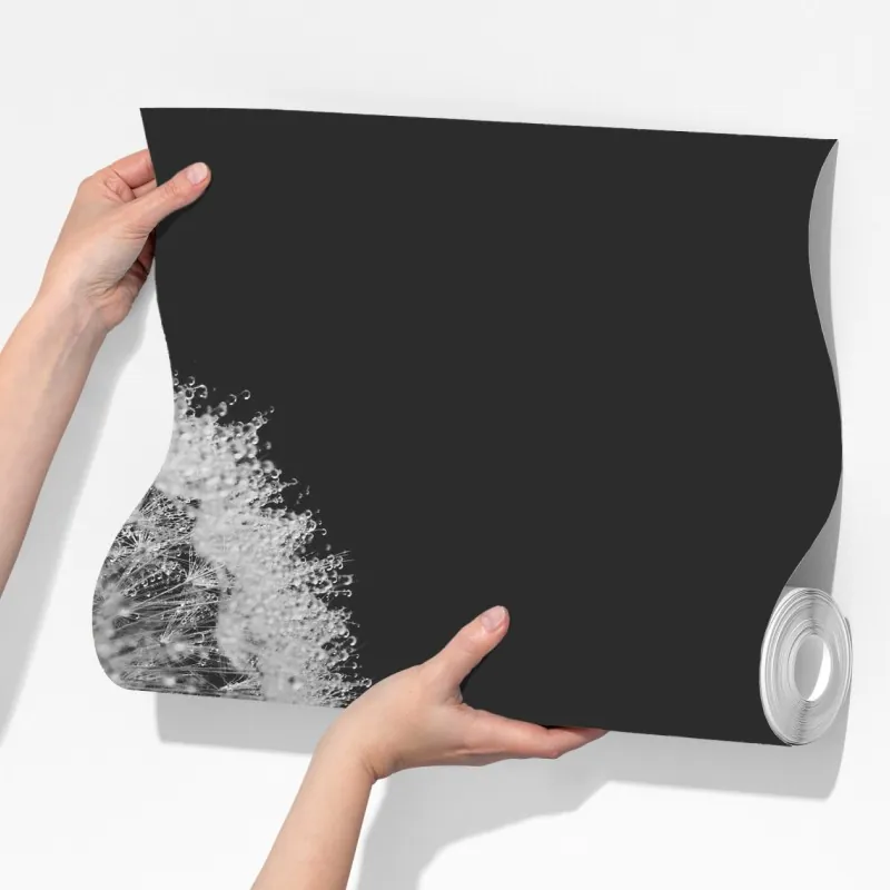 Fototapeta delikatny dmuchawiec w monochromie – Wallissimo® Fototapeta delikatny dmuchawiec w monochromie – Wallissimo®