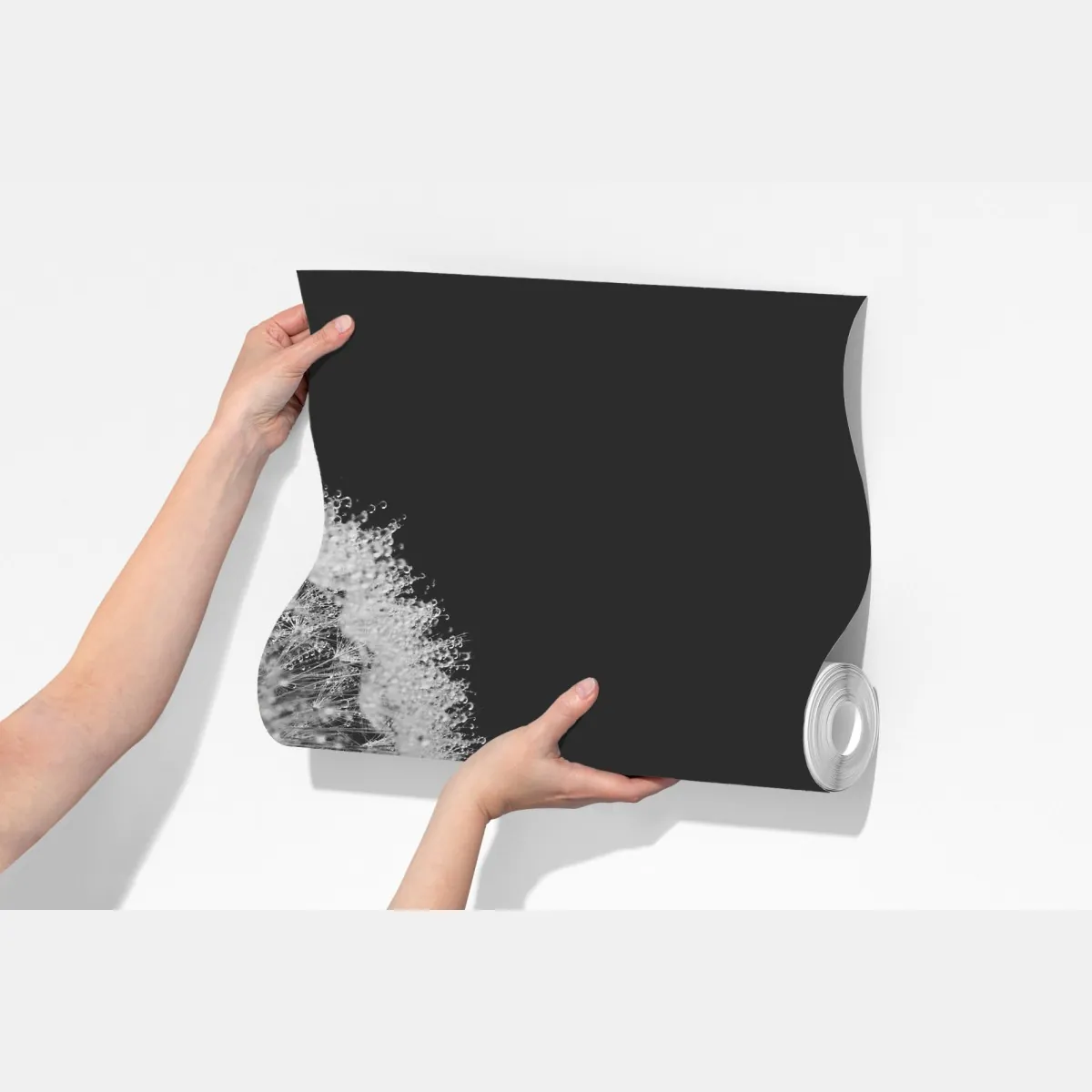 Fototapeta delikatny dmuchawiec w monochromie – Wallissimo® Fototapeta delikatny dmuchawiec w monochromie – Wallissimo®