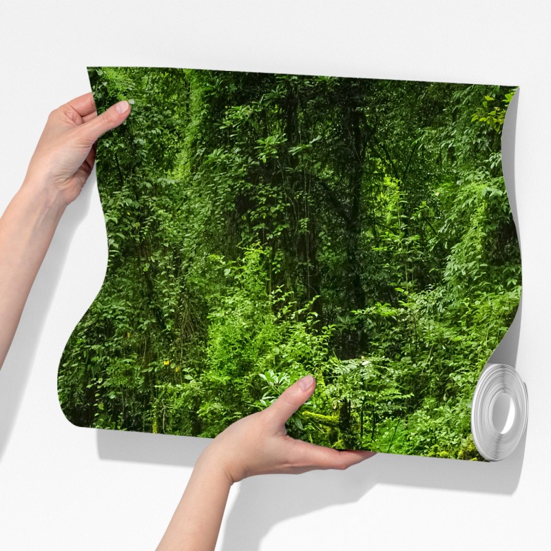 Fototapeta bujny zielony leśny wodospad – Wallissimo® Fototapeta bujny zielony leśny wodospad – Wallissimo®