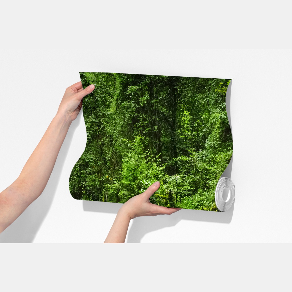 Fototapeta bujny zielony leśny wodospad – Wallissimo® Fototapeta bujny zielony leśny wodospad – Wallissimo®