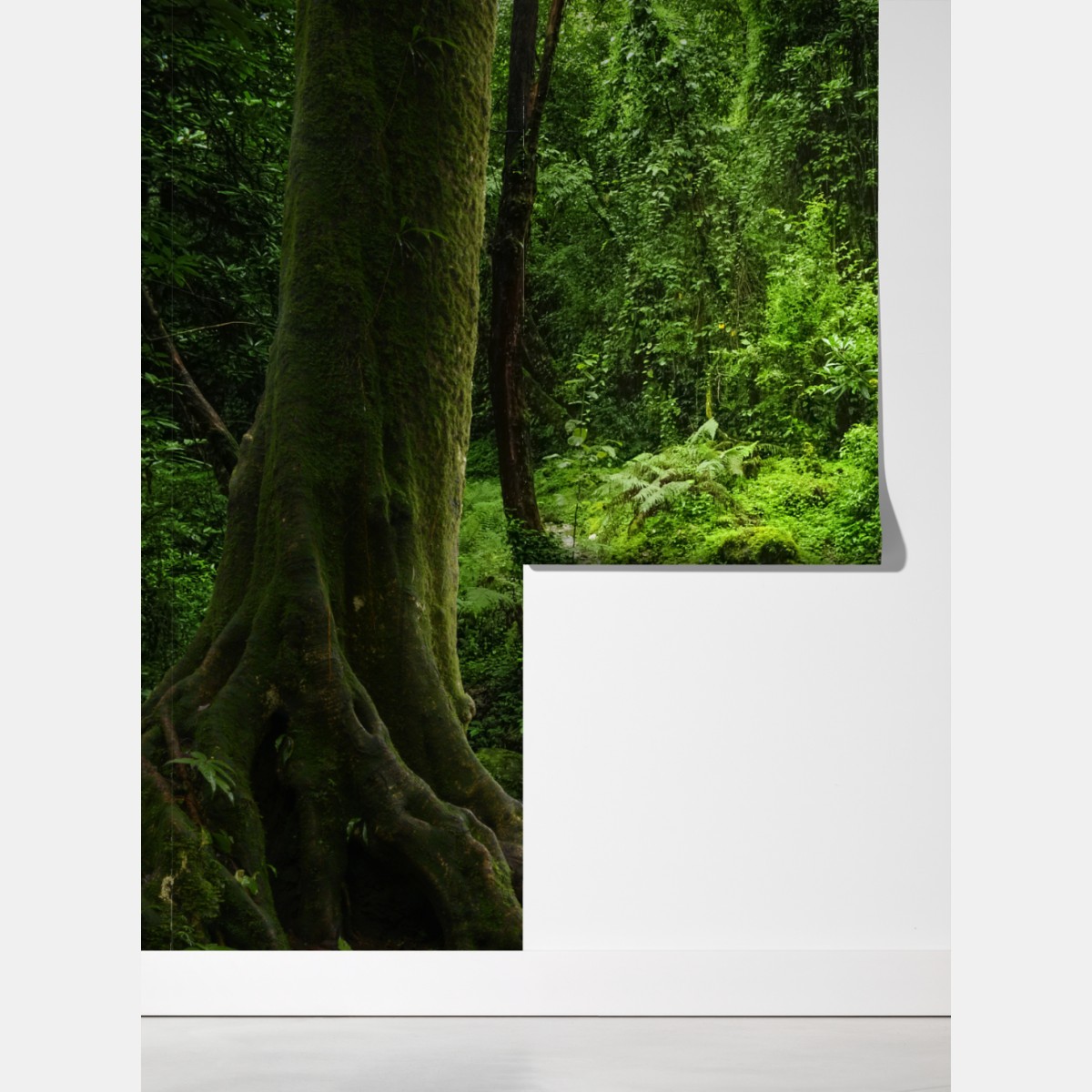 Fototapeta bujny zielony leśny wodospad – Wallissimo® Fototapeta bujny zielony leśny wodospad – Wallissimo®