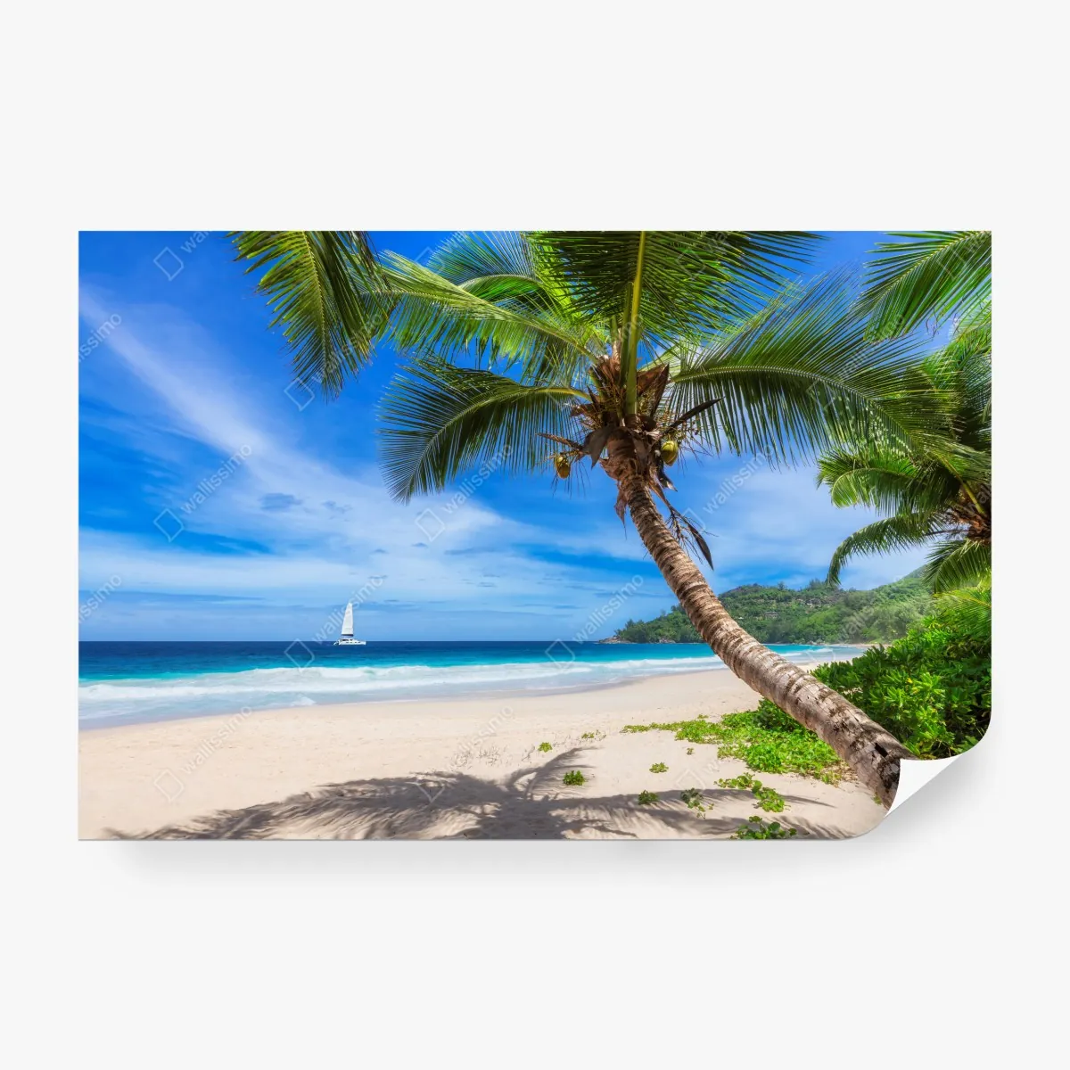 Fototapeta tropikalna plaża z palmą – Wallissimo® Fototapeta tropikalna plaża z palmą – Wallissimo®