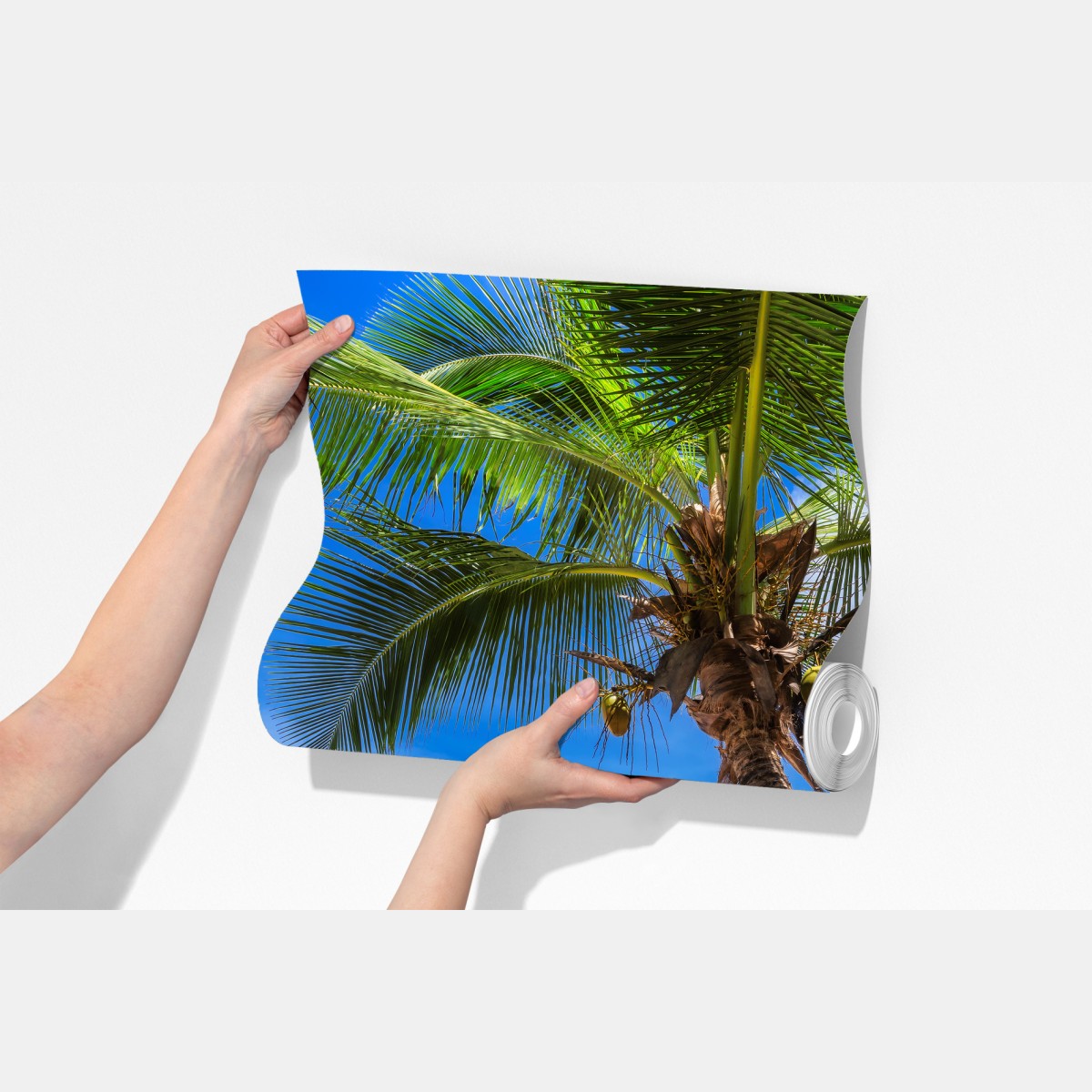 Fototapeta tropikalna plaża z palmą – Wallissimo® Fototapeta tropikalna plaża z palmą – Wallissimo®