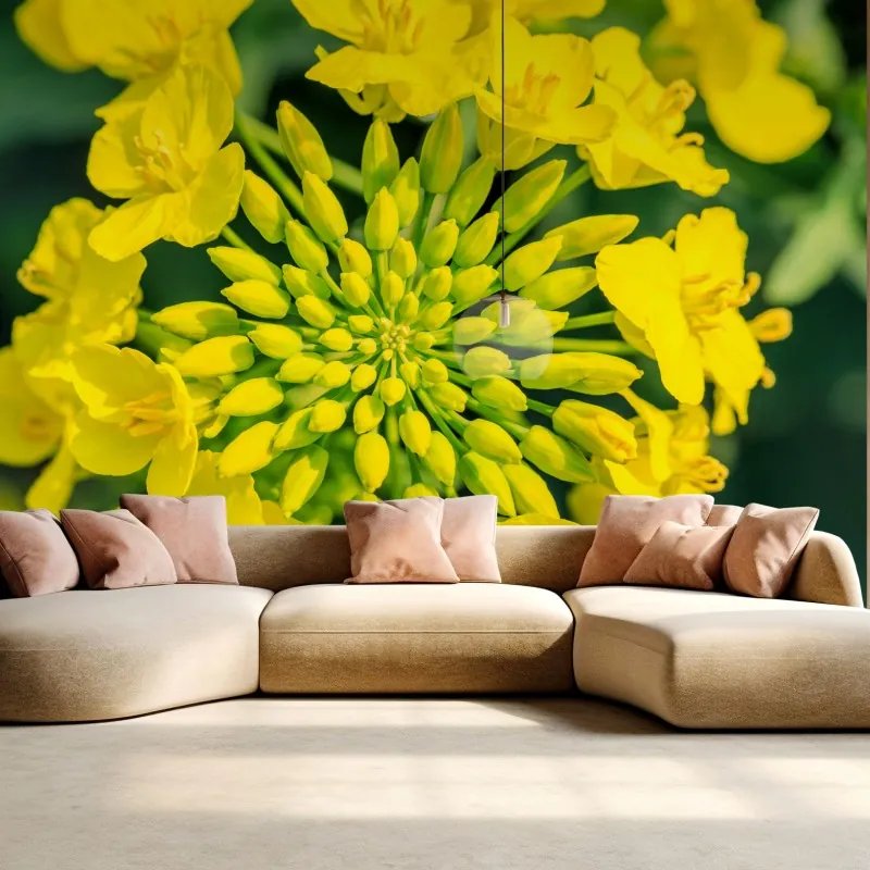 Fototapeta żywy żółty kwiat rzepaku w zbliżeniu – Wallissimo® Fototapeta żywy żółty kwiat rzepaku w zbliżeniu – Wallissimo®