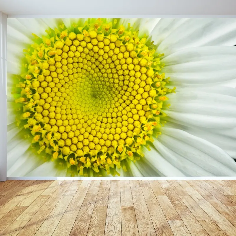 Fototapeta makro stokrotki w spiralnym wzorze – Wallissimo® Fototapeta makro stokrotki w spiralnym wzorze – Wallissimo®