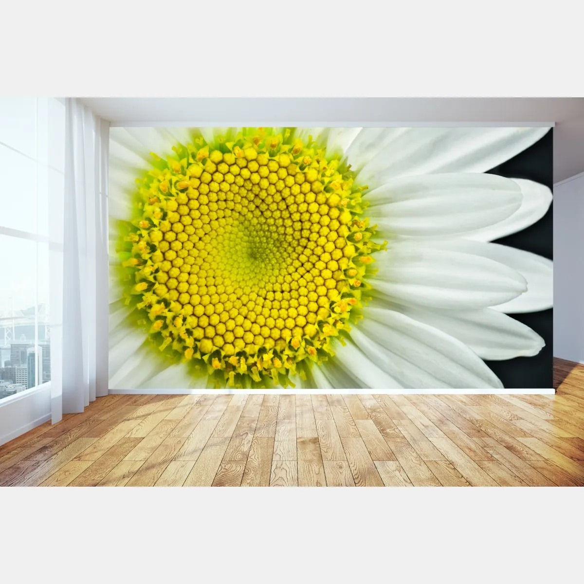 Fototapeta makro stokrotki w spiralnym wzorze – Wallissimo® Fototapeta makro stokrotki w spiralnym wzorze – Wallissimo®