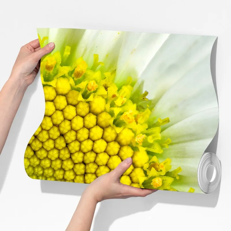 Fototapeta makro stokrotki w spiralnym wzorze – Wallissimo® Fototapeta makro stokrotki w spiralnym wzorze – Wallissimo®