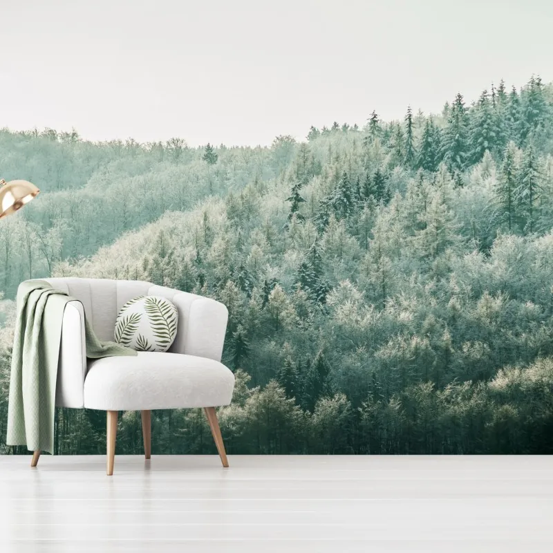 Fototapeta mglisty szronowy las